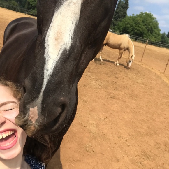 Meet your Posher, Lucy - Picture 5 of 7